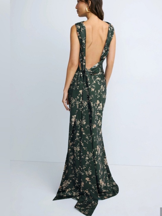 sau lee Dresses & Skirts - Sau Lee Callie Sleeveless Dark Green Floral Maxi Dress with Cream Print